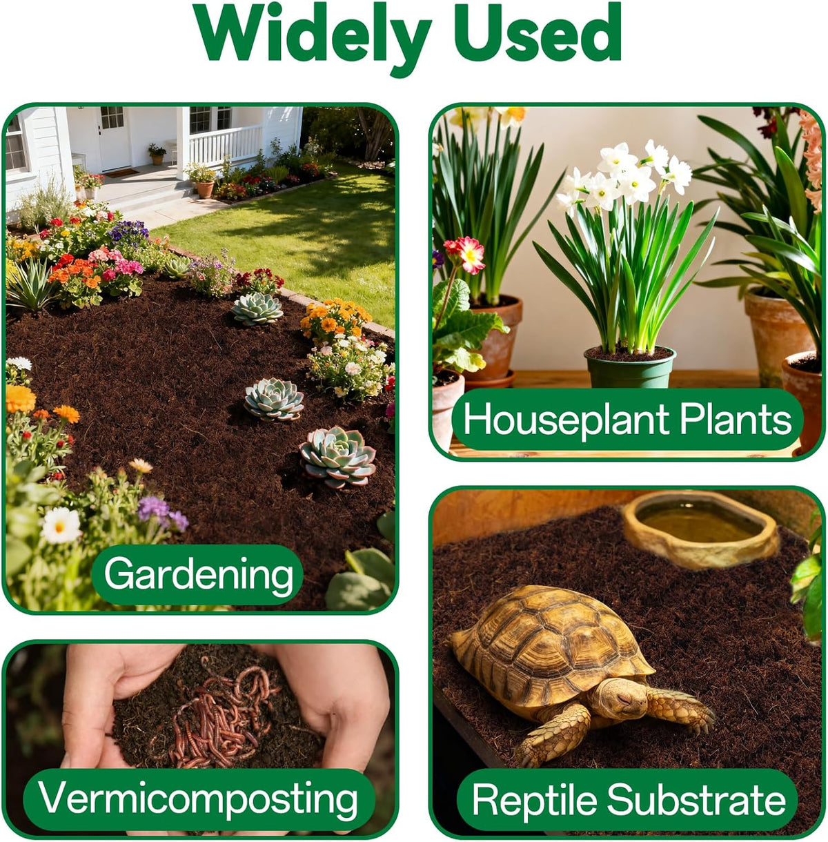 Stop Killing Your Plants With Bad Soil.